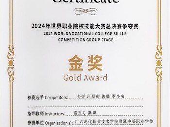 全国职业技能大赛金奖